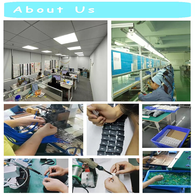 12PIN Biolight SpO2 Adapter Cable Female 9-Pin D-Sub Connector 15-027-0005 2
