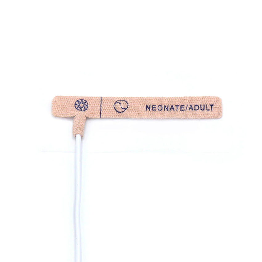 news-591-591 news-591-591