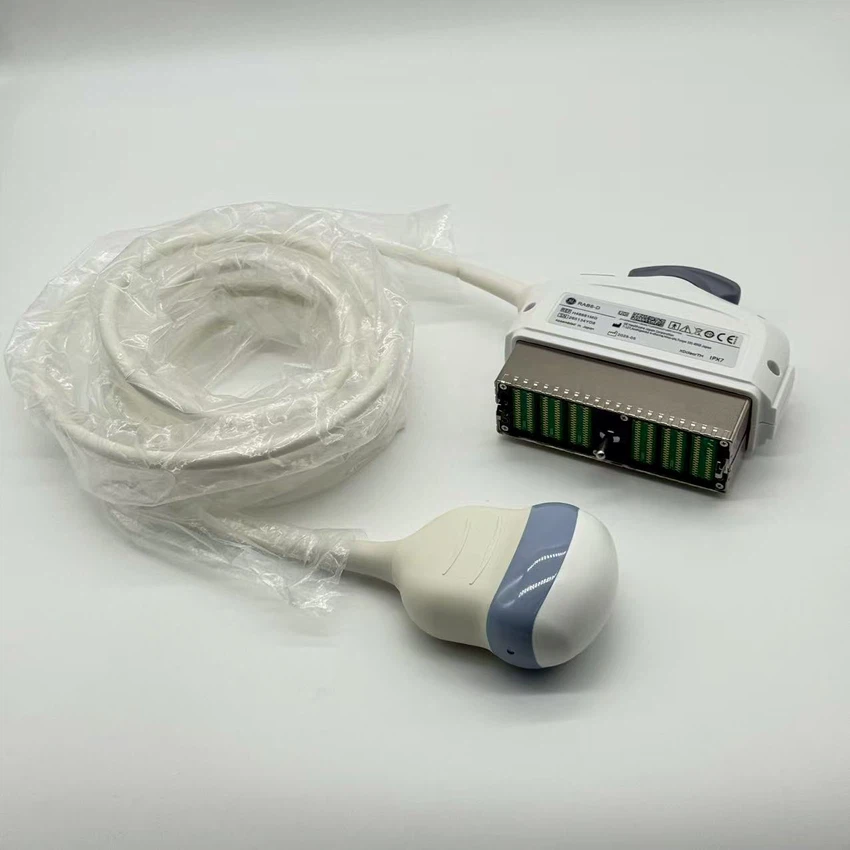 RAB6-D Probe KTZ302502-R RAB6-D Probe KTZ302502-R