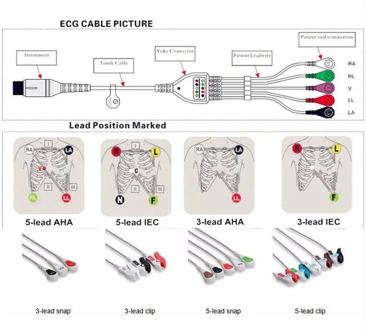 HEYER/SAADAT/SIARE ECG/EKG Cable 8 Pin